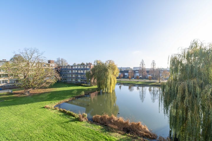 Foto 24 van Oltmansstraat 61