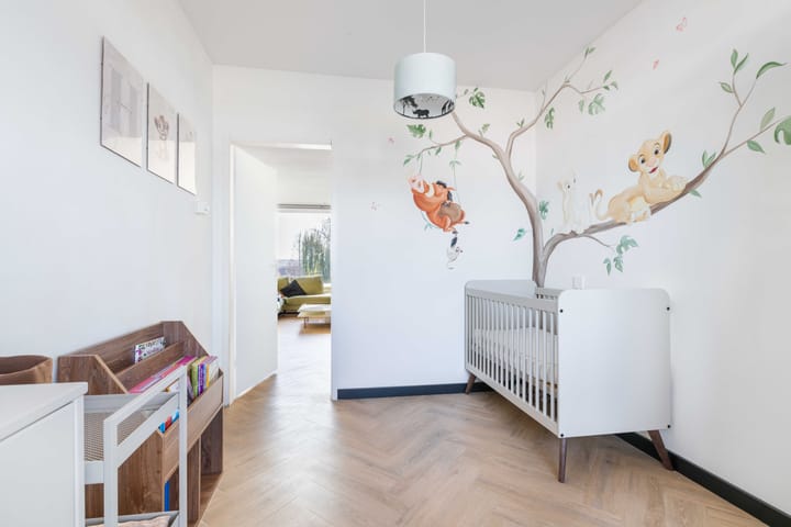 Foto 31 van Oltmansstraat 61