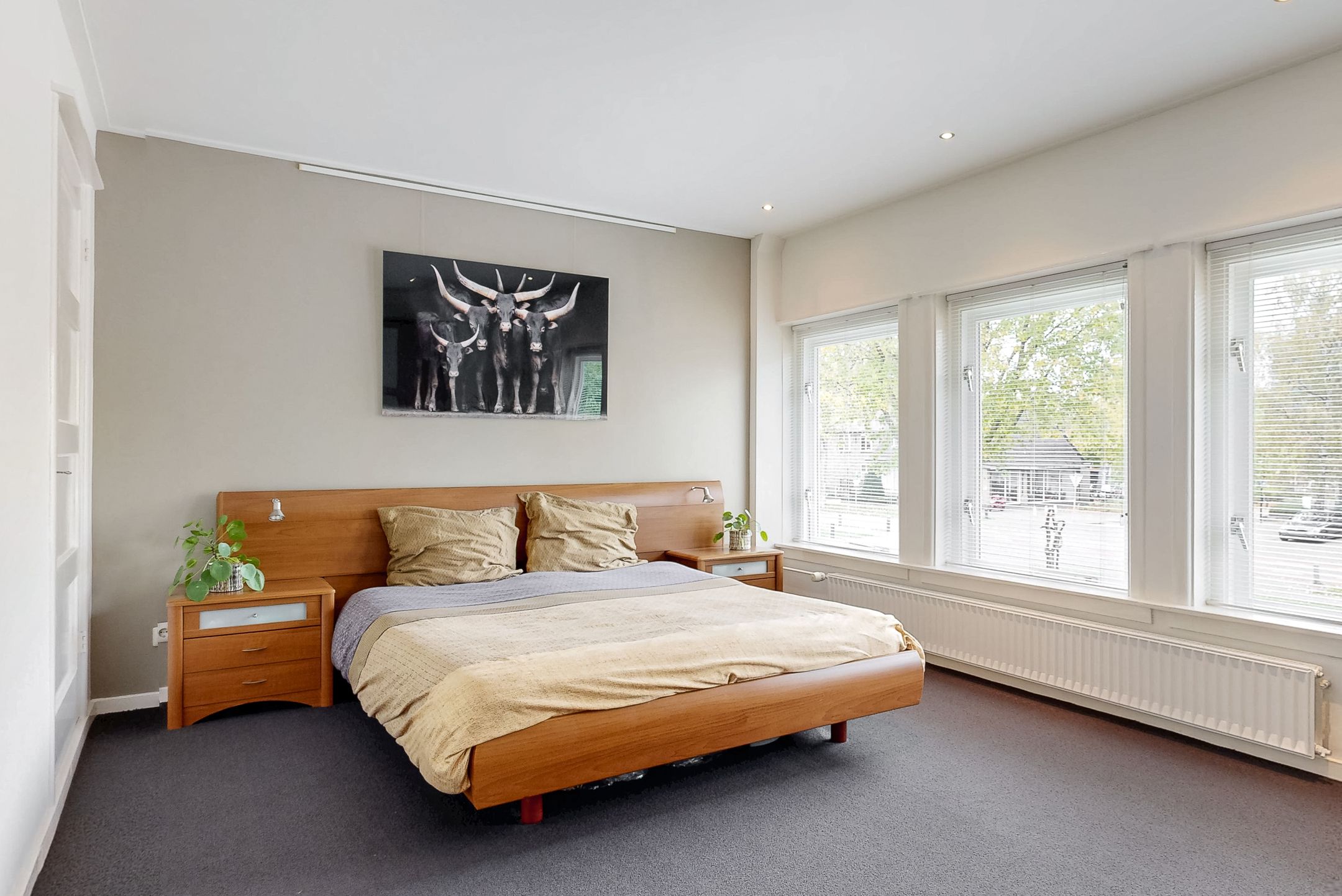 Foto 24 van Asselsestraat 279