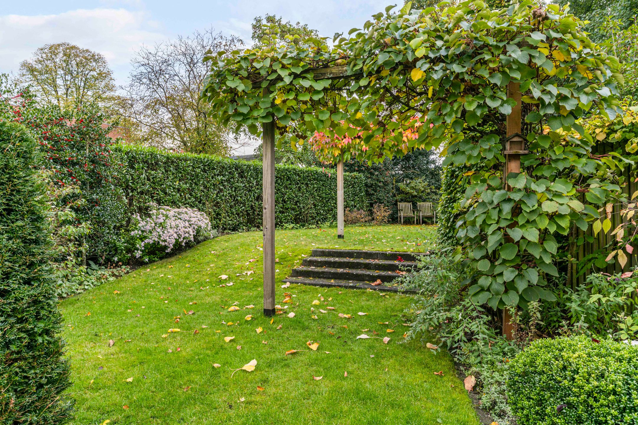 Foto 39 van Asselsestraat 279