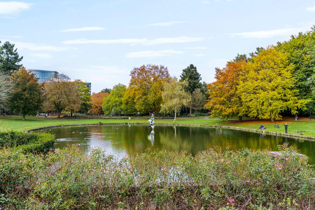 Foto 58 van Asselsestraat 279