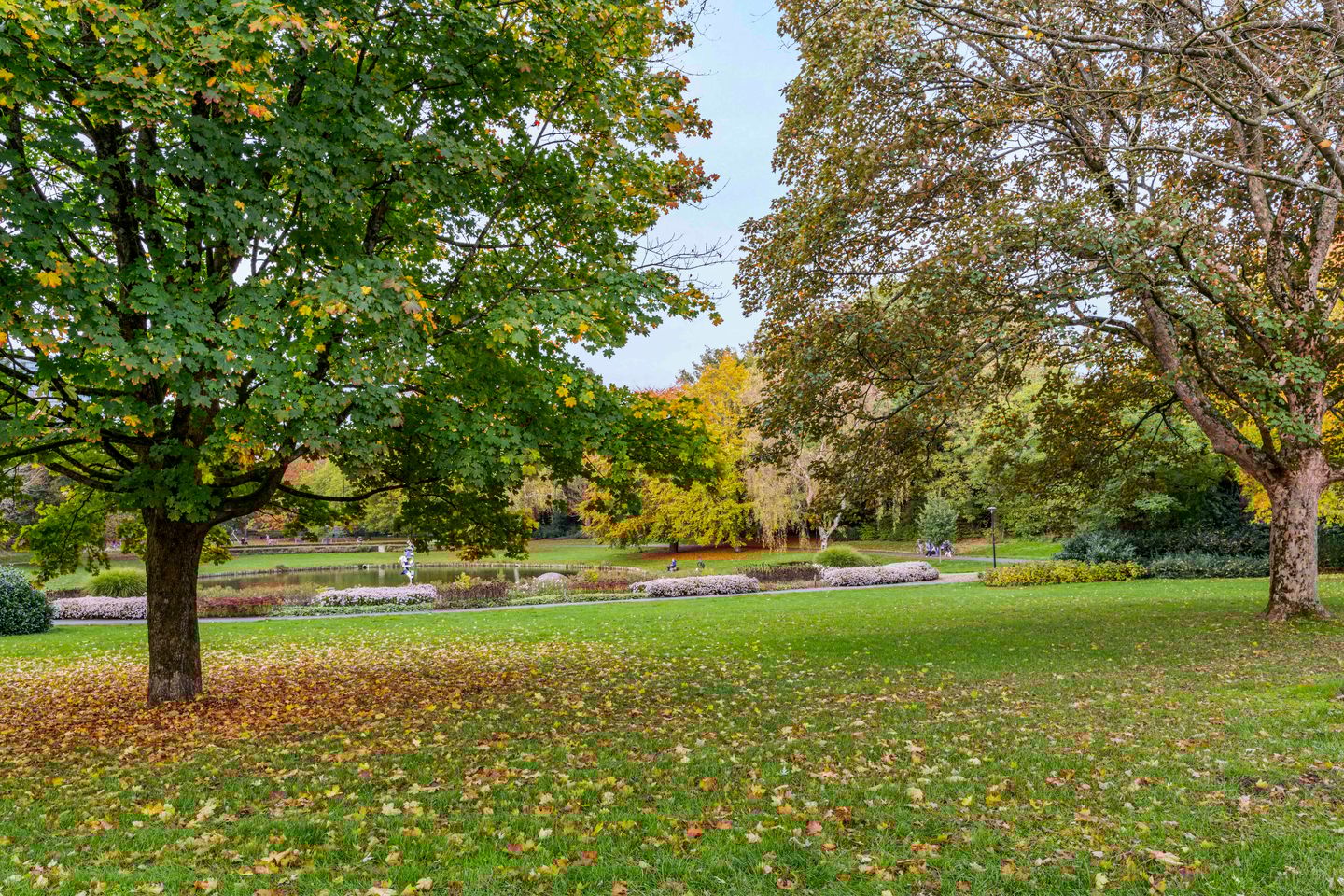 Foto 59 van Asselsestraat 279