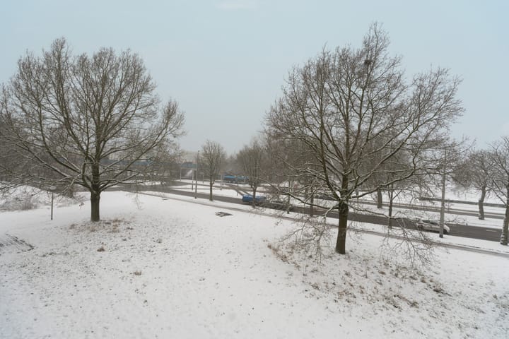 Foto 19 van Orionsingel 144