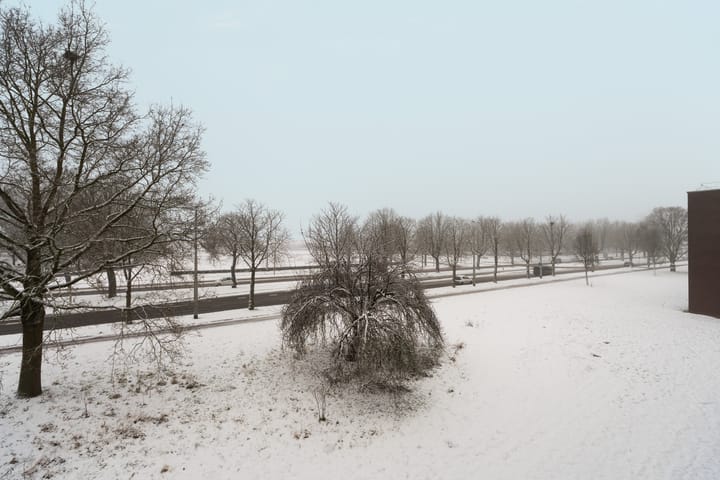 Foto 20 van Orionsingel 144