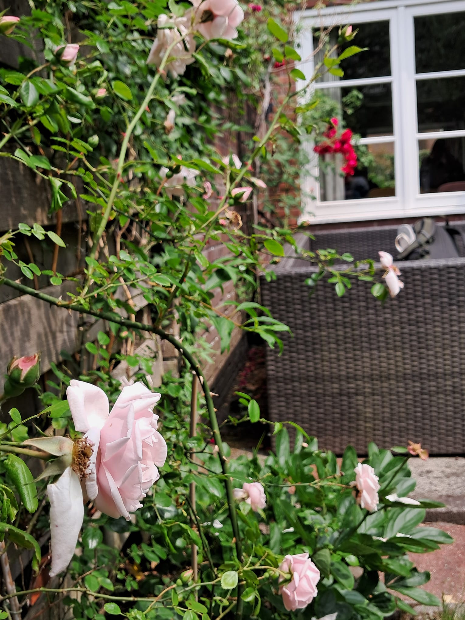 Photo 51 of Laan van Henegouwen 19