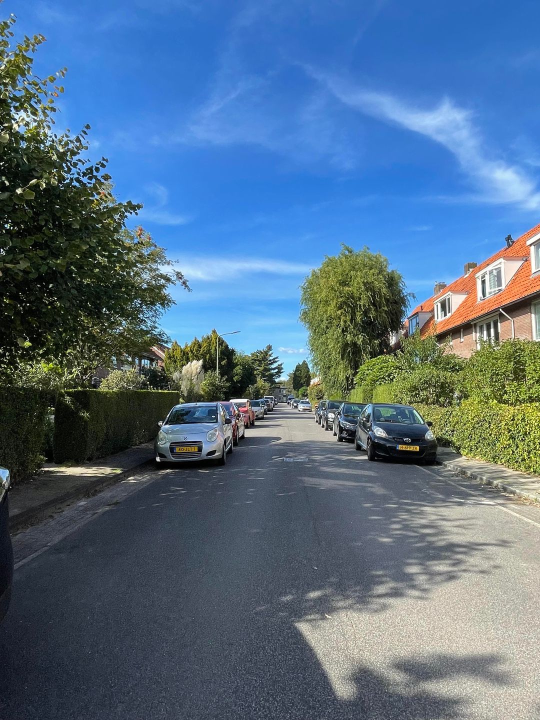 Photo 52 of Laan van Henegouwen 19