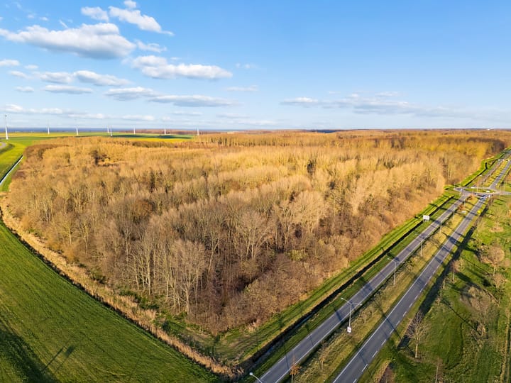 Foto 52 van Henry Hudsonstraat 7