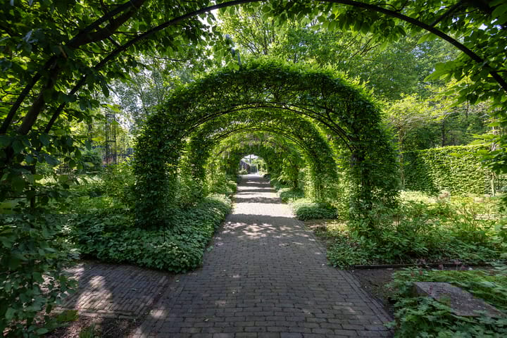 Foto 51 van Vrochterdijk 15