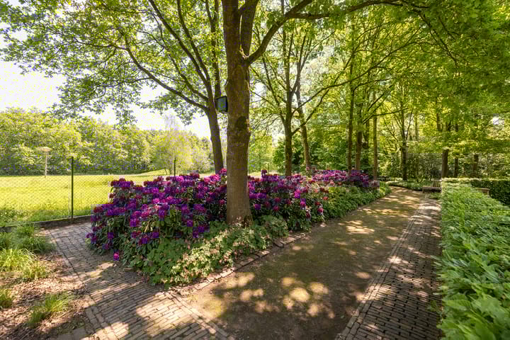 Foto 56 van Vrochterdijk 15