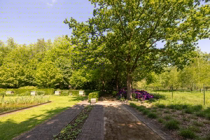 Foto 57 van Vrochterdijk 15