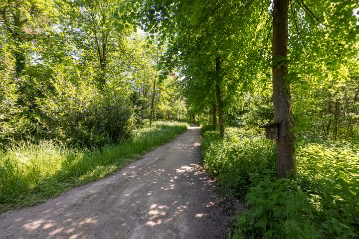 Foto 82 van Vrochterdijk 15