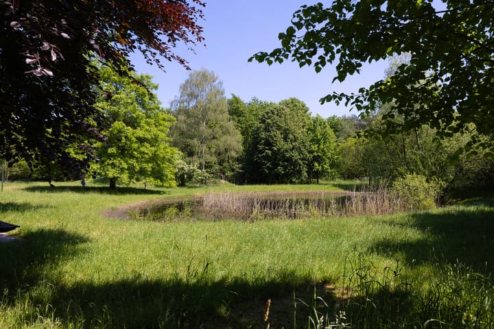 Foto 83 van Vrochterdijk 15