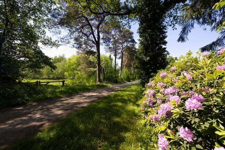 Foto 85 van Vrochterdijk 15