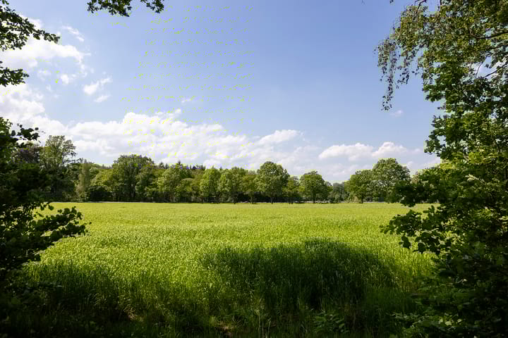 Foto 87 van Vrochterdijk 15