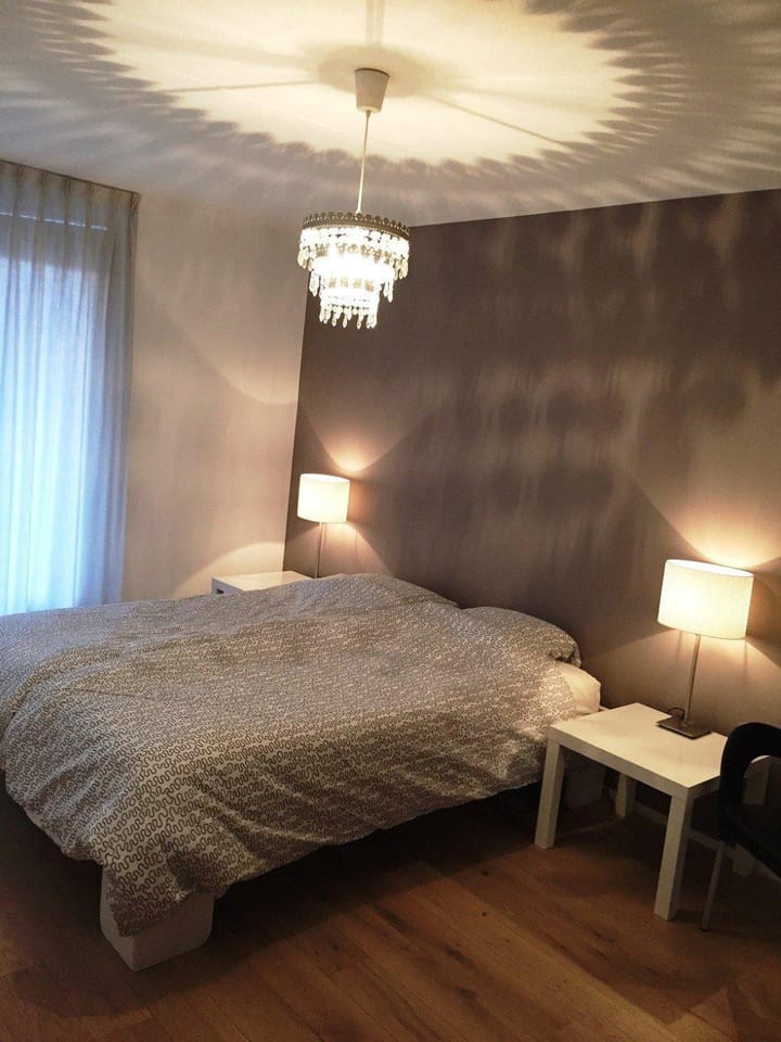 Foto 8 van Biesbosch 95