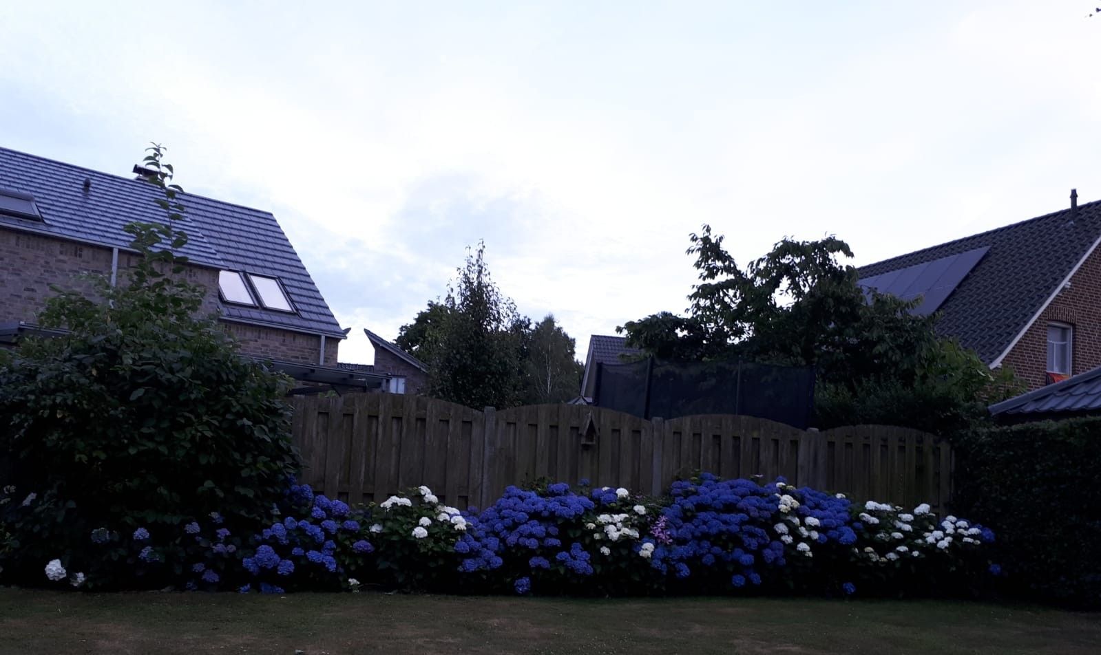 Foto 6 van Mollenwegg 44