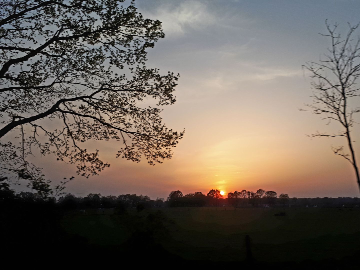 Foto 44 van Mollenwegg 44