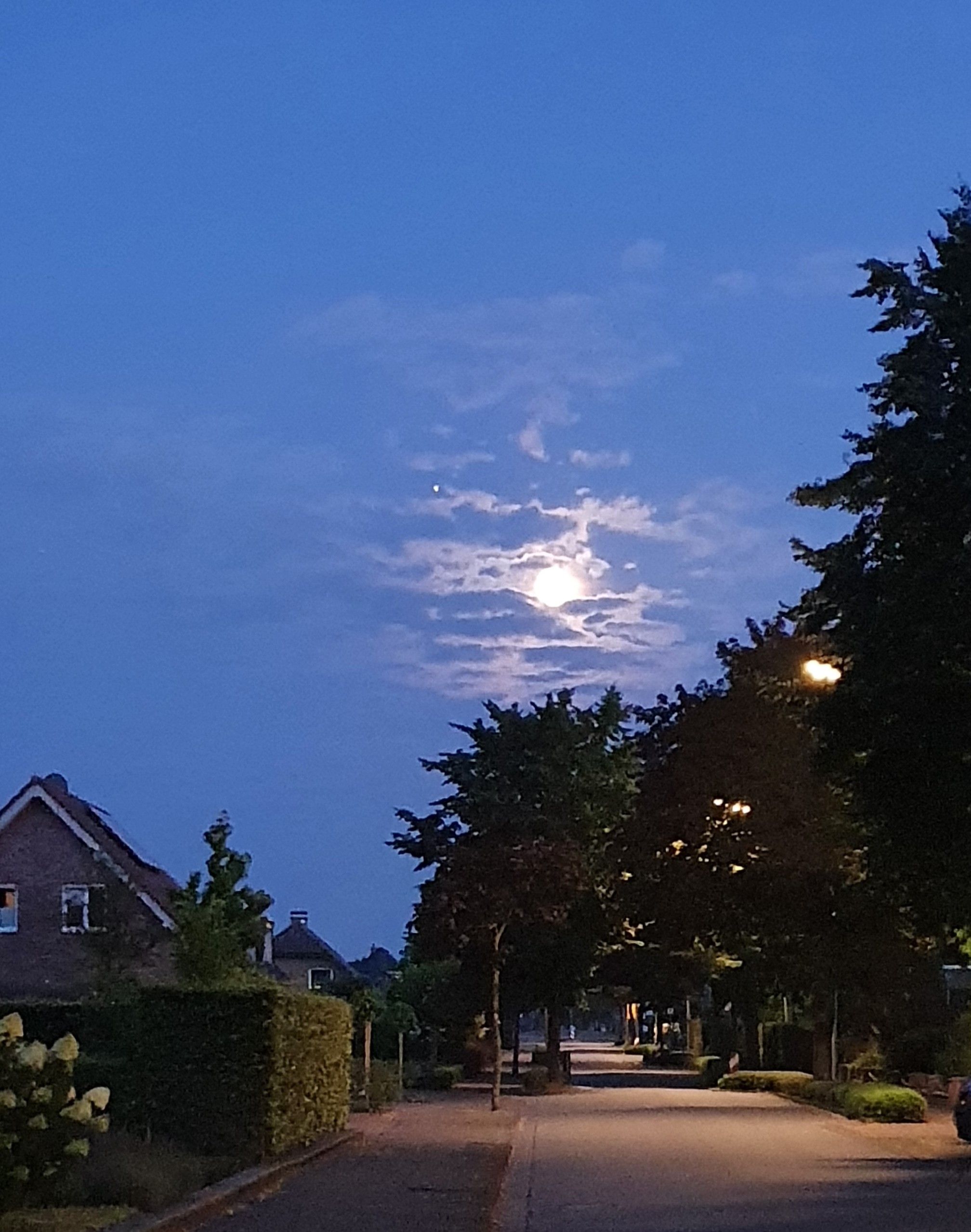 Foto 45 van Mollenwegg 44