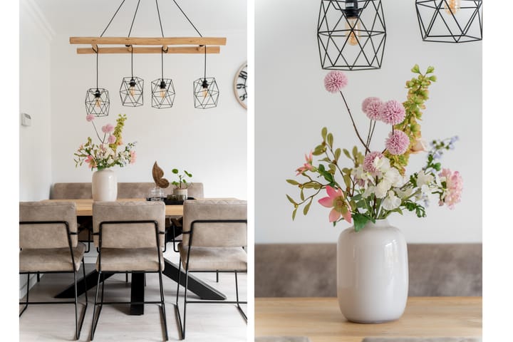 Foto 9 van Willem Dreeshof 36