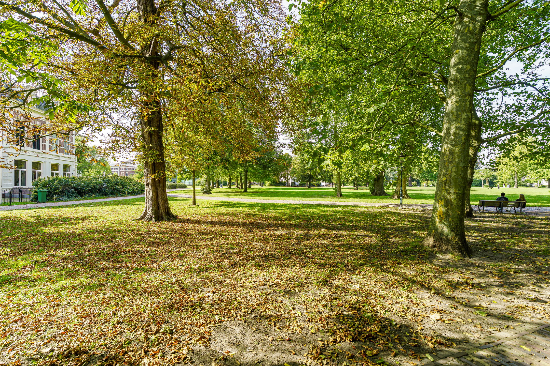 Foto 30 van Kamperstraat 13-RD