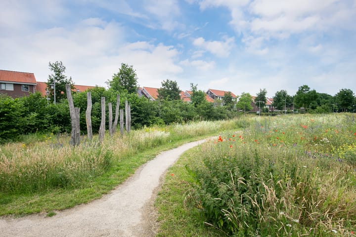 Foto 47 van Heuvingerzand 4