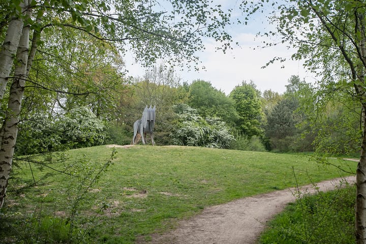 Foto 49 van Heuvingerzand 4