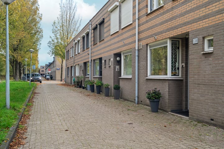 Photo 38 of Pieter A. van Heijningestraat 133