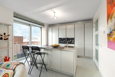 Annie van Velzenhof 35 tertiary image