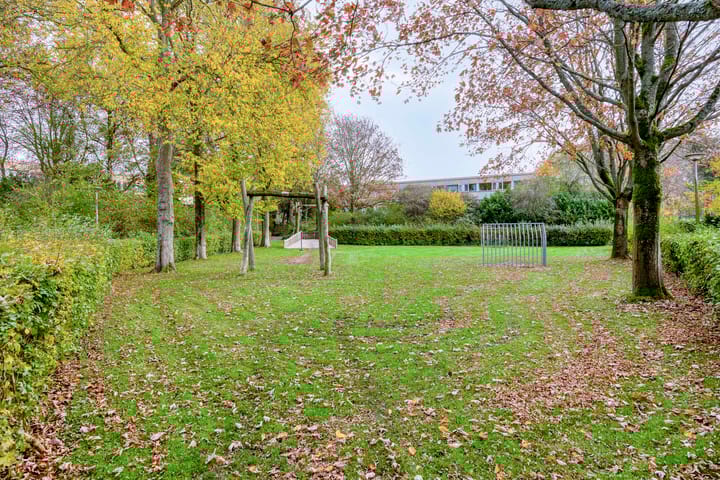 Foto 34 van Klaproos 2