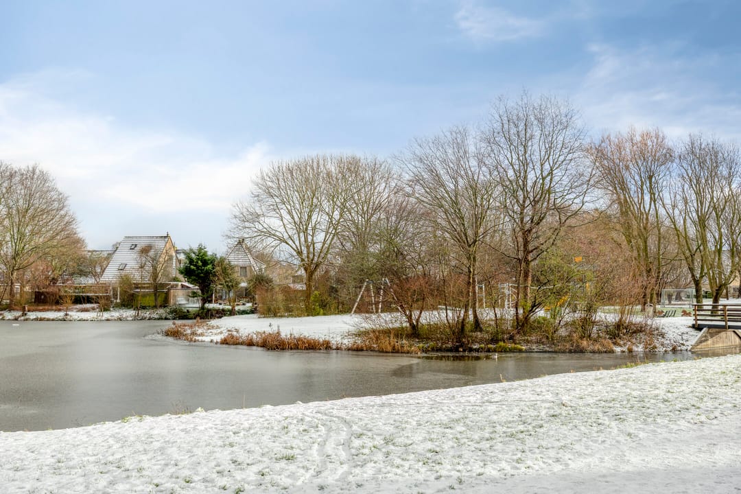 Foto 43 van Van Polanenpark 284