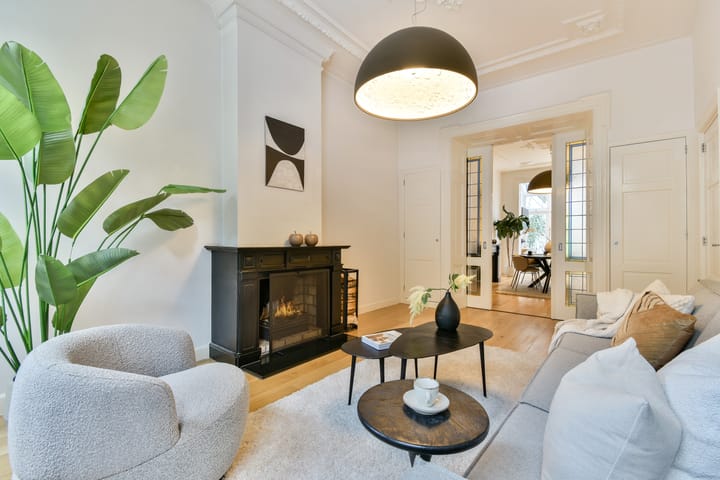 Foto 3 van Van Breestraat 109-H