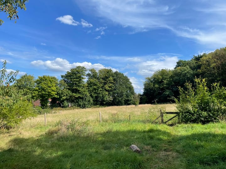 Photo 48 of Middenlaan 52