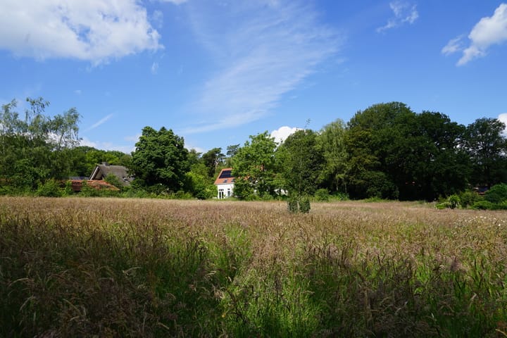 Photo 51 of Middenlaan 52