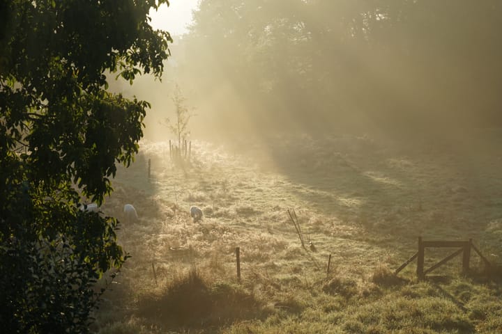 Photo 52 of Middenlaan 52