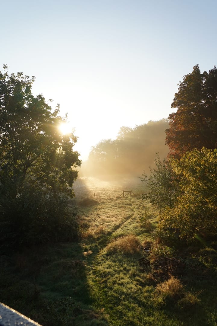 Photo 53 of Middenlaan 52