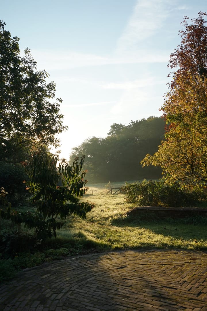 Photo 54 of Middenlaan 52