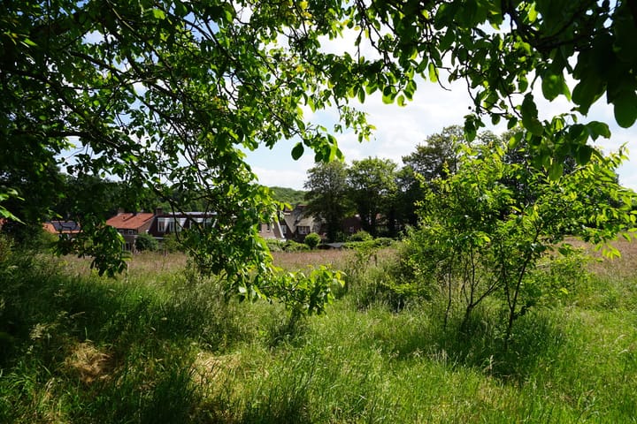 Photo 56 of Middenlaan 52