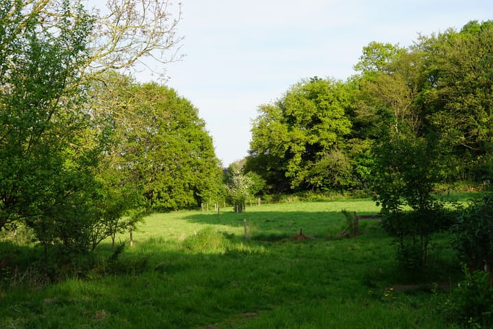 Photo 57 of Middenlaan 52