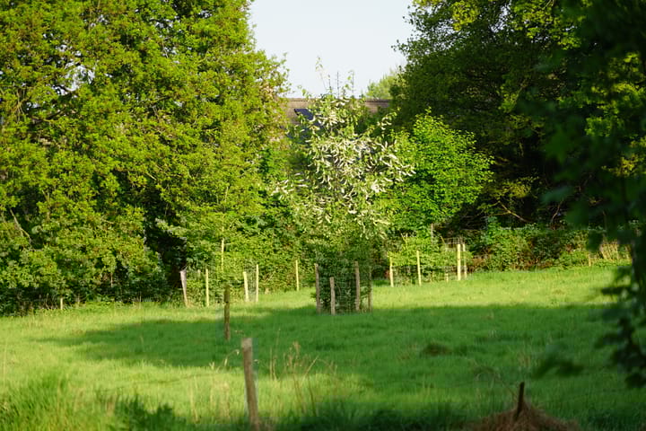 Photo 58 of Middenlaan 52