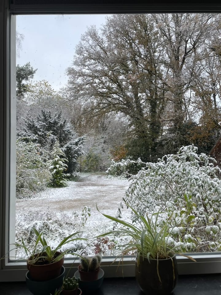 Photo 59 of Middenlaan 52