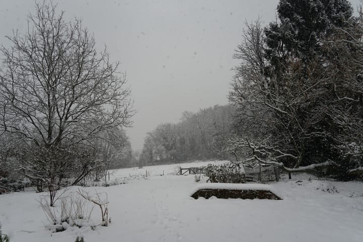 Photo 62 of Middenlaan 52