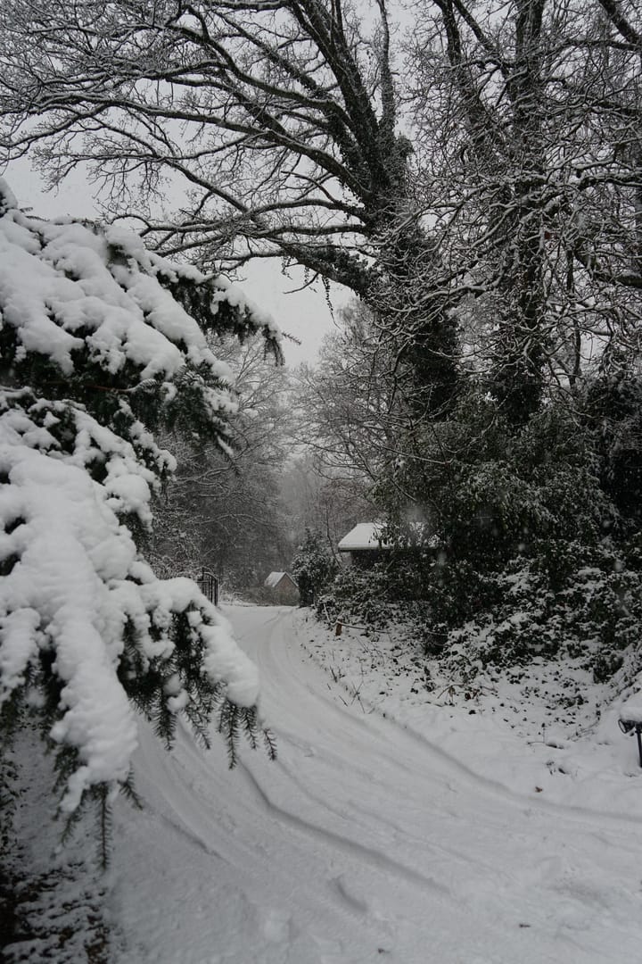 Photo 63 of Middenlaan 52