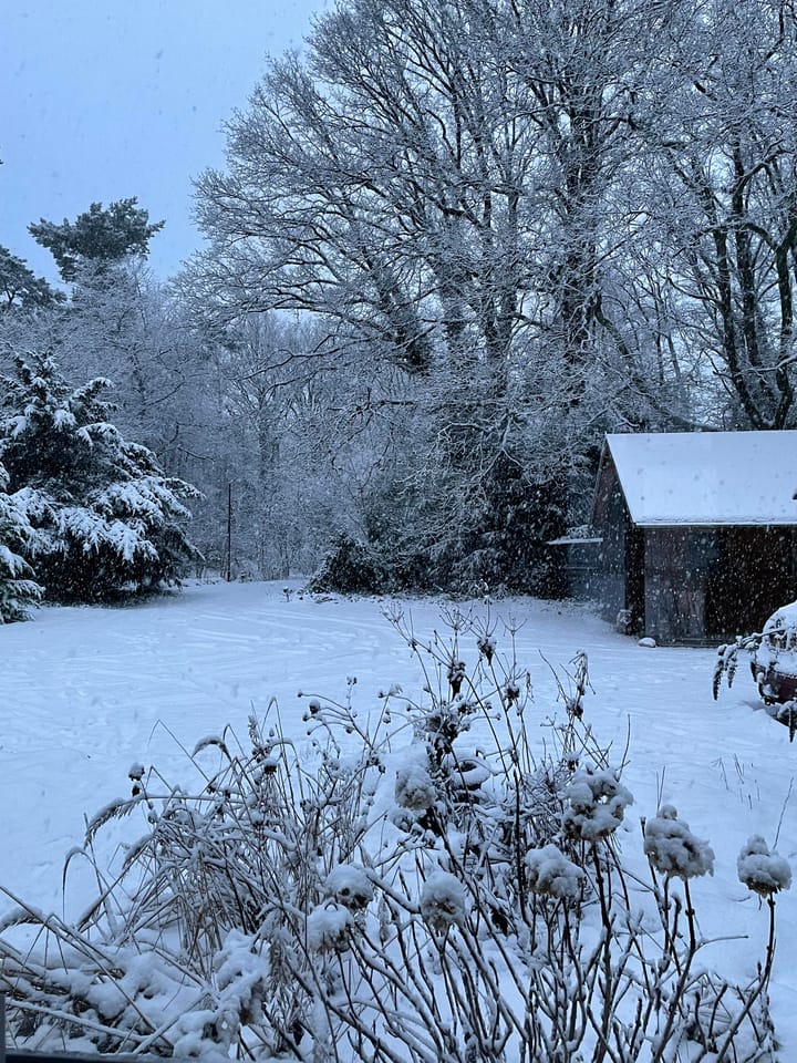 Photo 64 of Middenlaan 52