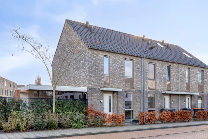 Foto 1 van Fluitenkruid 39