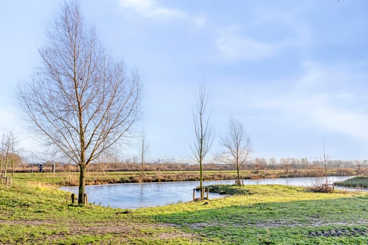 Foto 25 van Fluitenkruid 39