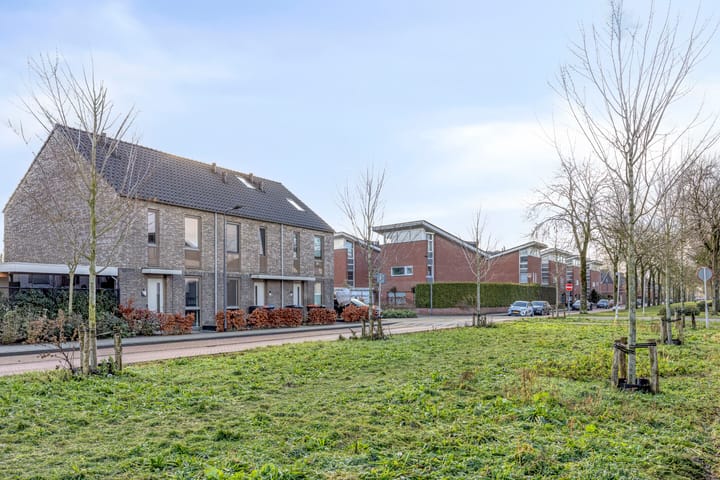 Foto 24 van Fluitenkruid 39