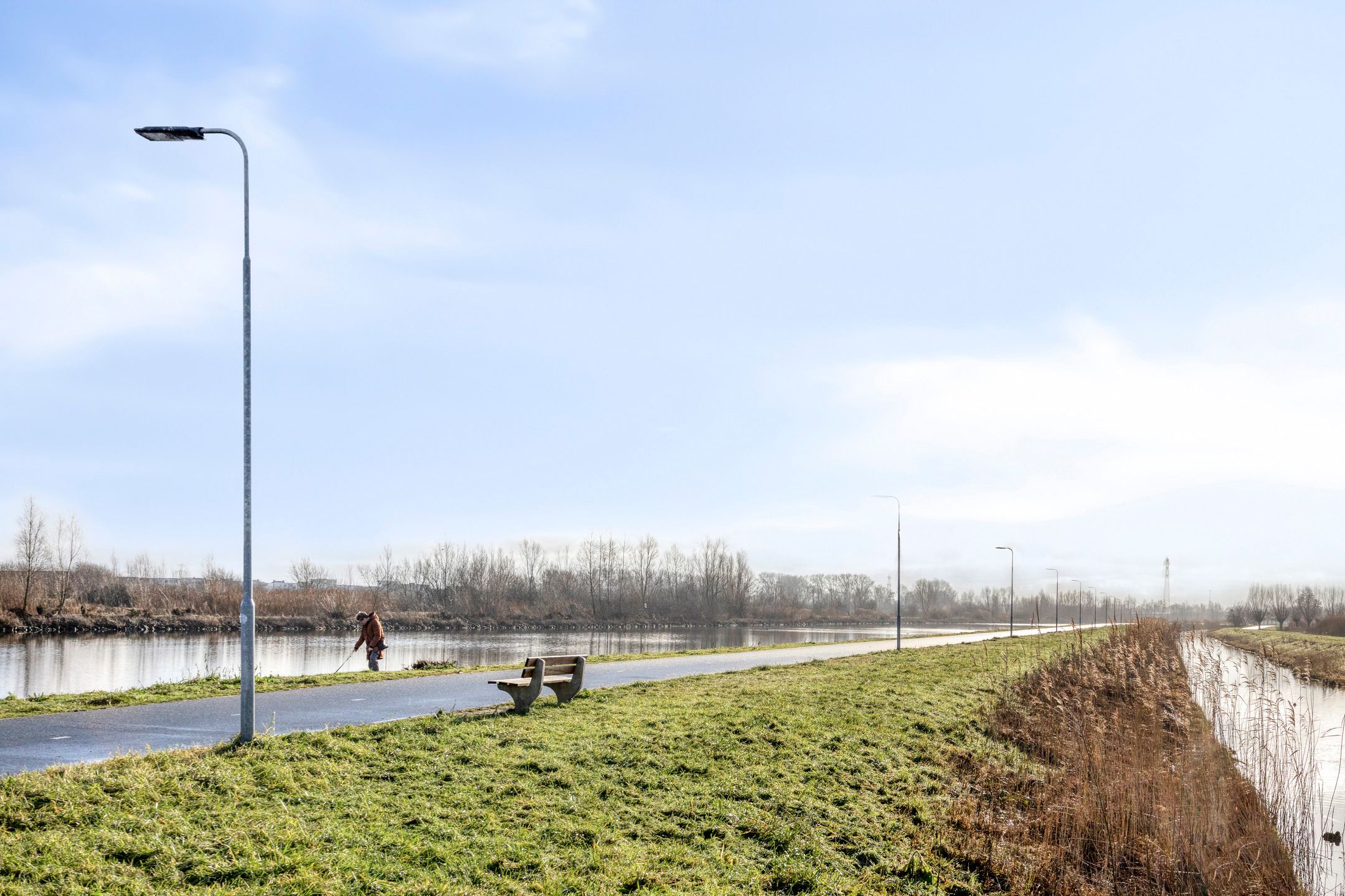 Photo 27 of Fluitenkruid 39