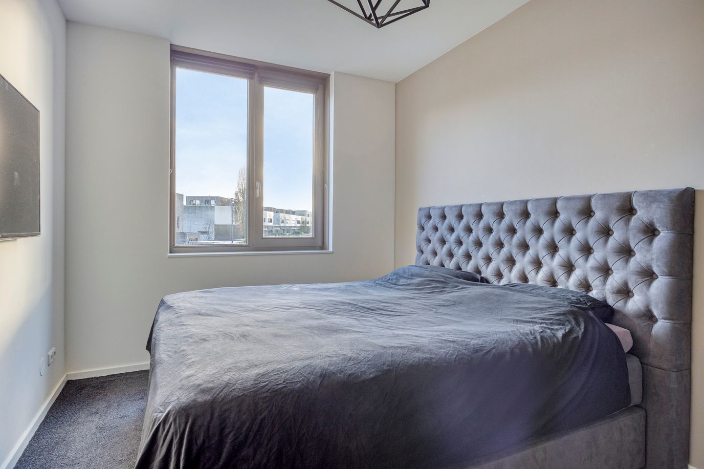 Photo 14 of Fluitenkruid 39