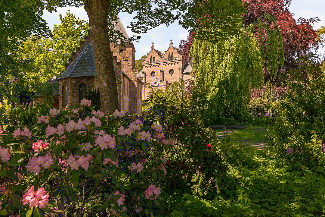 Foto 31 van Bongerdstraat 34