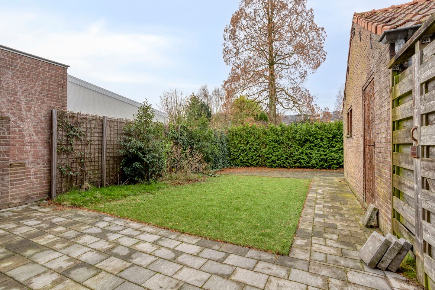 Foto 20 van Bongerdstraat 34